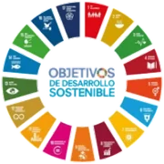 Objetivos de Desarrollo Sostenible